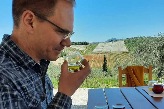 From Athens: Olive Oil Tasting, Olive Grove & Wine Experience - A Private Full-Day Experience in Greece’s Olive Groves and Vineyards