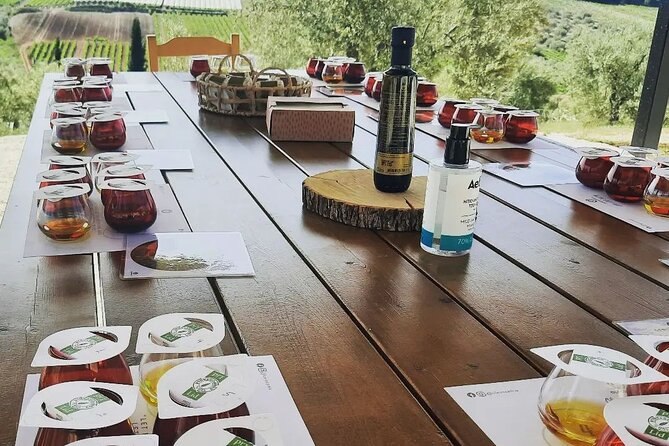 From Athens: Olive Oil Tasting, Olive Grove & Wine Experience - Practical Details and Logistics