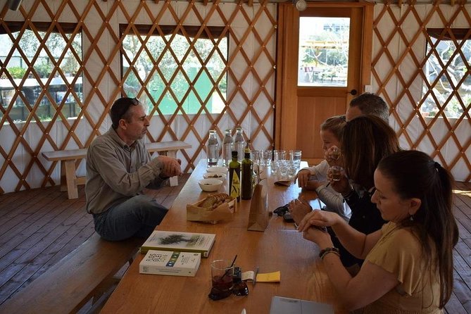 From Athens: Olive Oil Tasting, Olive Grove & Wine Experience - What Sets This Tour Apart from Others