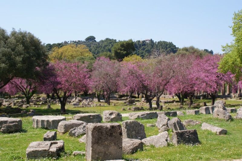 From Athens: Private Day Trip to Ancient Olympia - Practical Details and Tips for the Tour