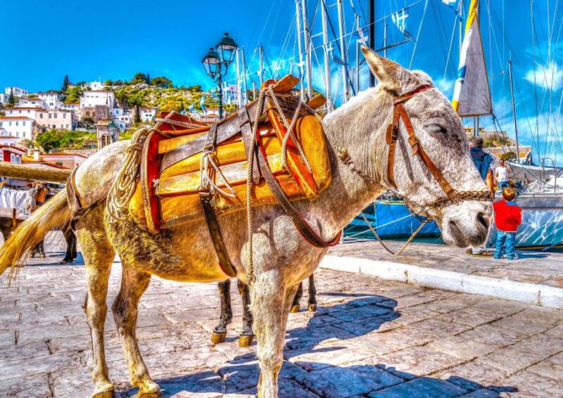 From Athens: Saronic Islands Full-Day Cruise with VIP Seats - Practical details: Timing, accessibility, and cancellation