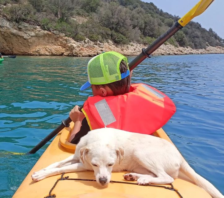 From Athens Sea Kayak Sunken City of Epidaurus - Snorkeling the Ruins in Crystal-Clear Waters