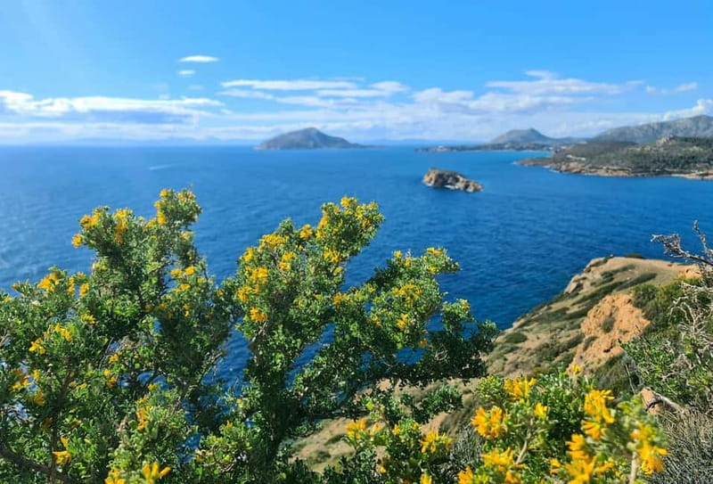 From Athens: Temple of Poseidon & Cape Sounion Half-Day Tour - Scenic Coastal Drive Through Athens Suburbs