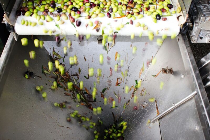 From Athens: Wine, Oil, & Cheese Tasting in Nemea & Argolis - From Athens: Wine, Oil, & Cheese Tasting in Nemea & Argolis – An Authentic Day in Greece