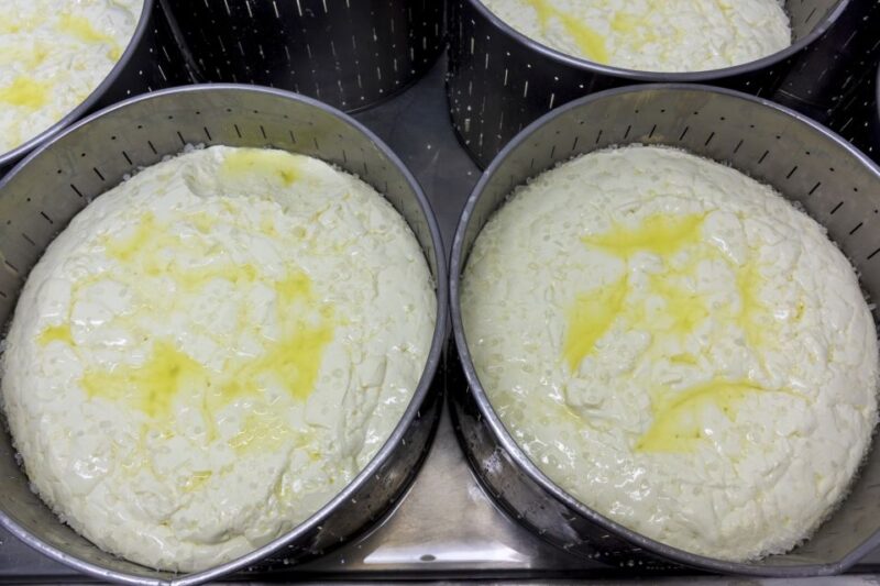 From Athens: Wine, Oil, & Cheese Tasting in Nemea & Argolis - Olive Oil Production and Tasting at an Olive Mill