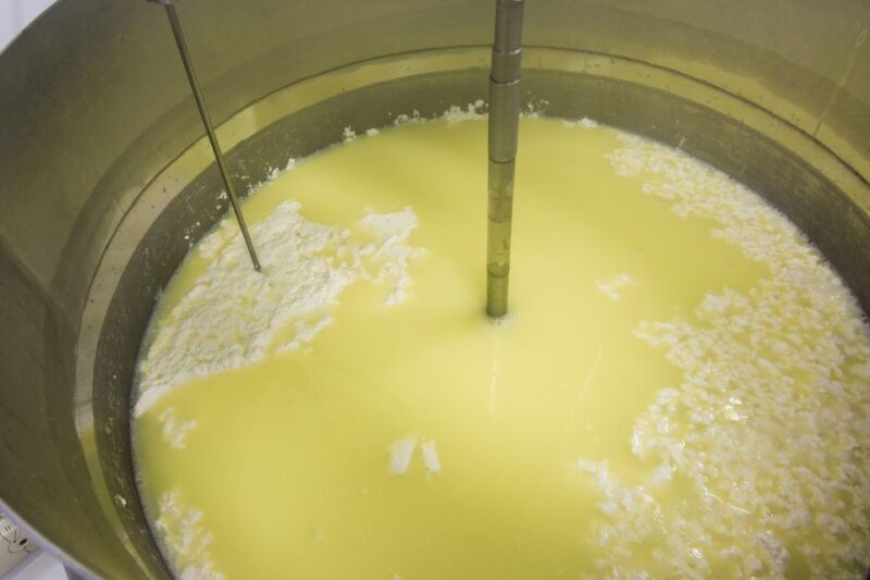 From Athens: Wine, Oil, & Cheese Tasting in Nemea & Argolis - Practicalities and Comfort