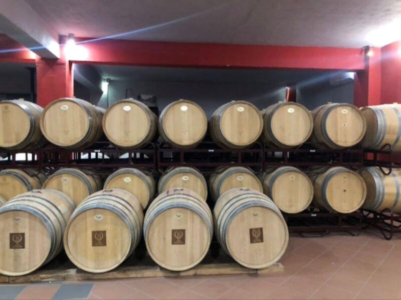 From Athens: Wine Roads Private Tour with Wine Tasting - Visiting a Top Nemea Winery for Wine Tasting