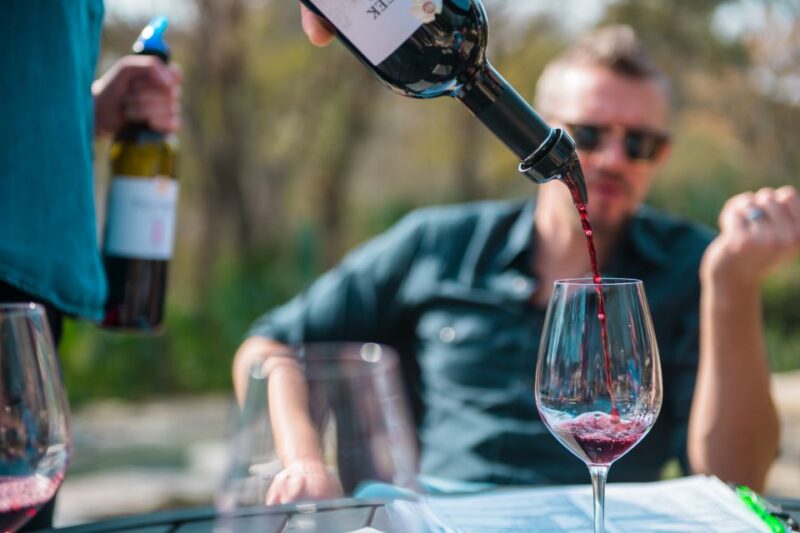 From Austin: Half-Day Hill Country Wine Shuttle - Key Points