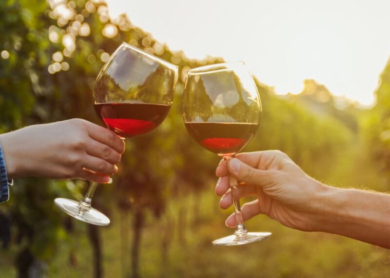 From Austin: Half-Day Hill Country Wine Shuttle - Practical Tips and Additional Information