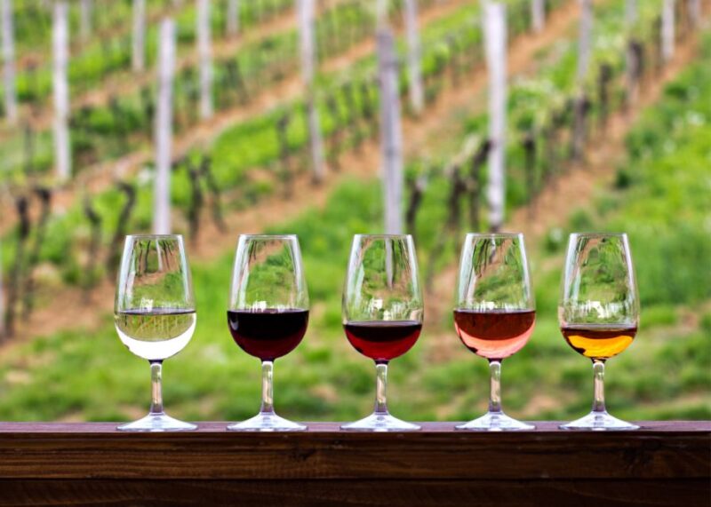 From Austin: Half-Day Hill Country Wine Shuttle - Why Choose This Tour in Texas Hill Country