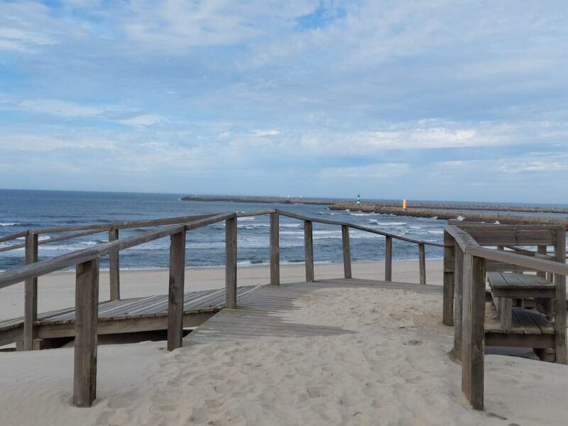 From Aveiro/Ilhavo: Barra, Costa Nova, and Vista Alegre Tour - Shopping at Vista Alegre Factory Outlet