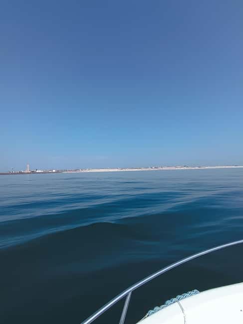 From Aveiro to the Beaches by Boat - Who Should Consider This Experience