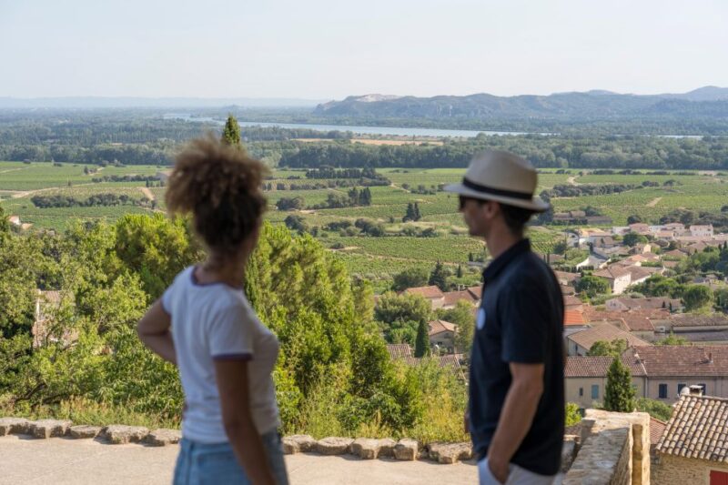 From Avignon: Châteauneuf du Pape Half-Day Wine Tour - First Wine Tasting at a Local Cellar