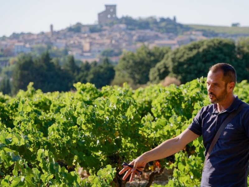 From Avignon: Châteauneuf du Pape Half-Day Wine Tour - Practical Tips for the Tour