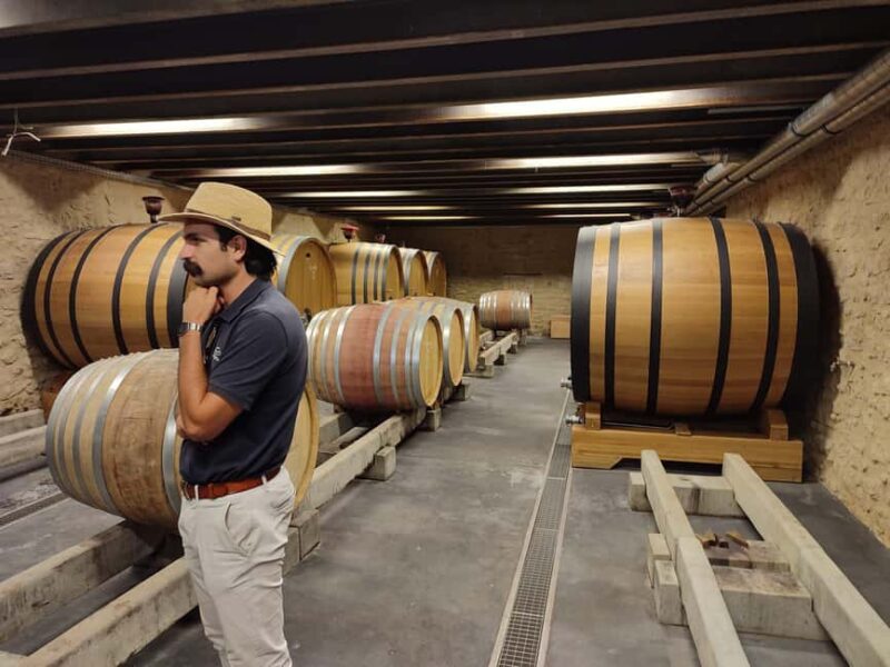 From Avignon: Châteauneuf du Pape Half-Day Wine Tour - Overall Value and Experience
