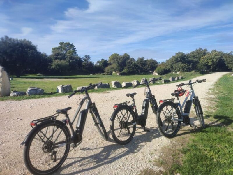From Avignon: Full-Day E-Bike Tour in the Luberon Region - Cycling through Olive Groves, Vineyards, and Lavender Fields