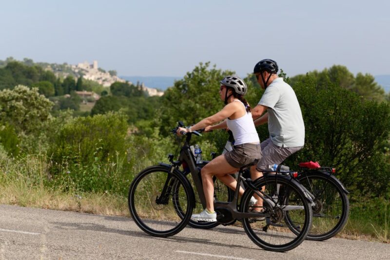 From Avignon: Full-Day E-Bike Tour in the Luberon Region - Who Will Truly Enjoy This Tour?