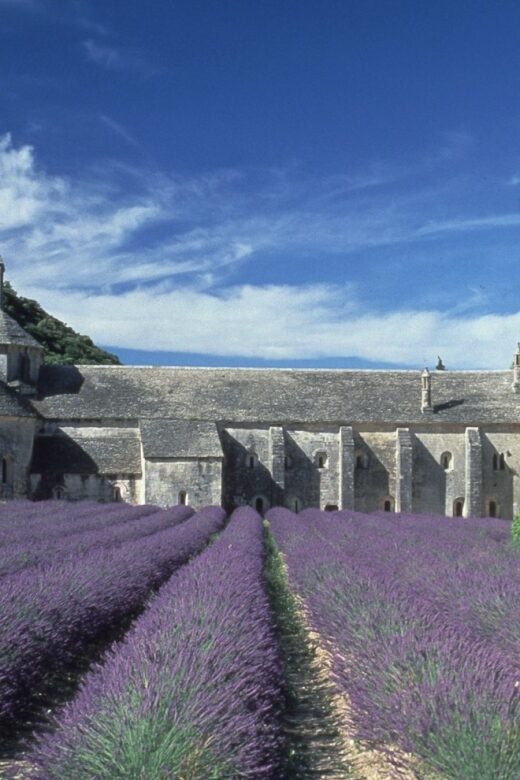 From Avignon: Half-Day Hilltop Villages of Luberon - Departing from Avignon with Convenient Pickup Options