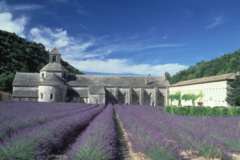 From Avignon: Half-Day Hilltop Villages of Luberon - The Enchanting Village of Ménerbes