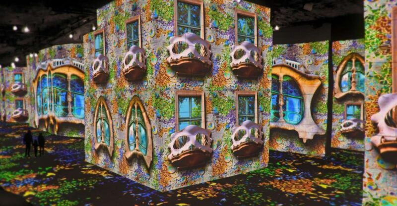 From Avignon: Half-Day Van Gogh & Carrières de Lumières Tour - Pacing and Duration: Is It Too Rushed?