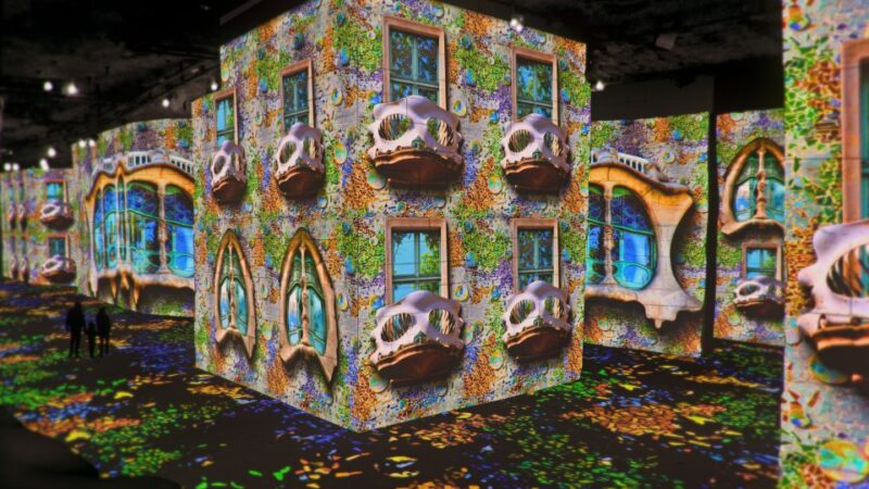 From Avignon: Half-Day Van Gogh & Carrières de Lumières Tour - Pricing and Overall Value