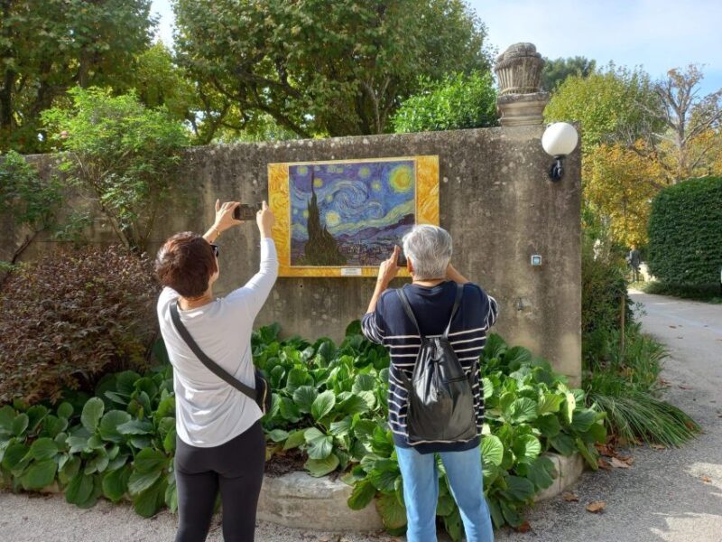 From Avignon: In the Footsteps of Van Gogh in Provence - Van Goghs Inspiration in Provence