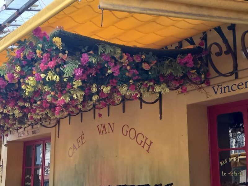 From Avignon: In the Footsteps of Van Gogh in Provence - Practical Details: Logistics and Comfort