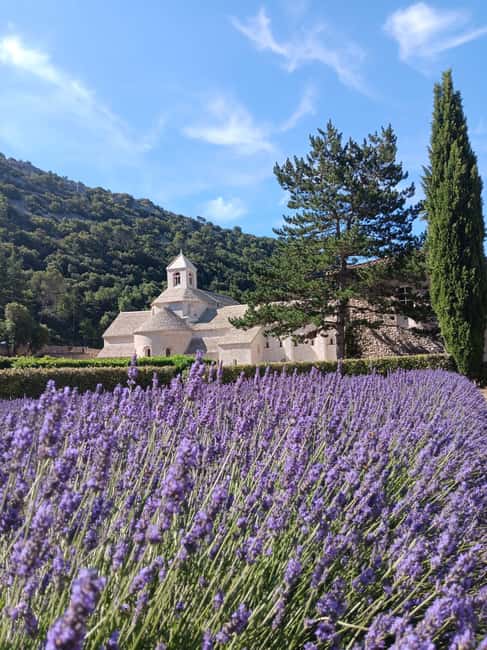 From Avignon: Lavender Villages Full-Day Tour - The Tour Starts at Avignon’s Tourist Information Center