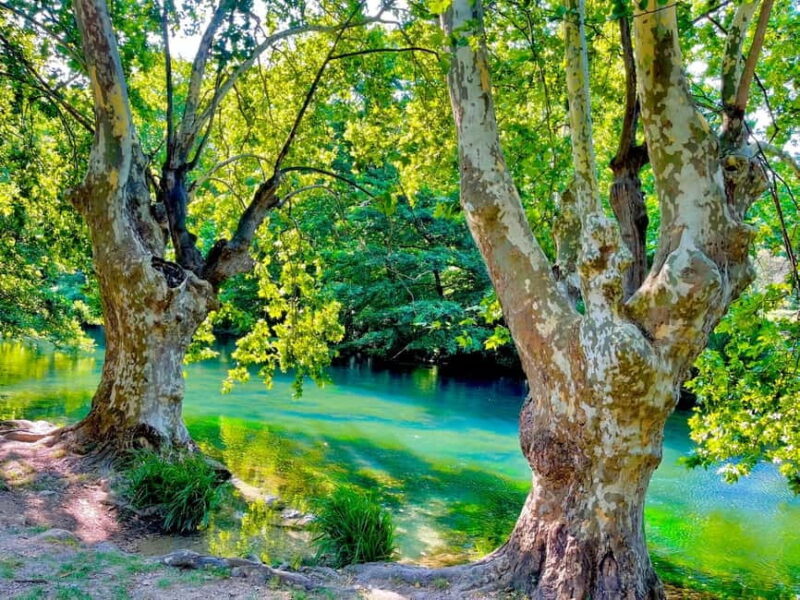 From Avignon: Provence Highlights Full-Day Tour - Discover the Best of Provence in a Single Day from Avignon