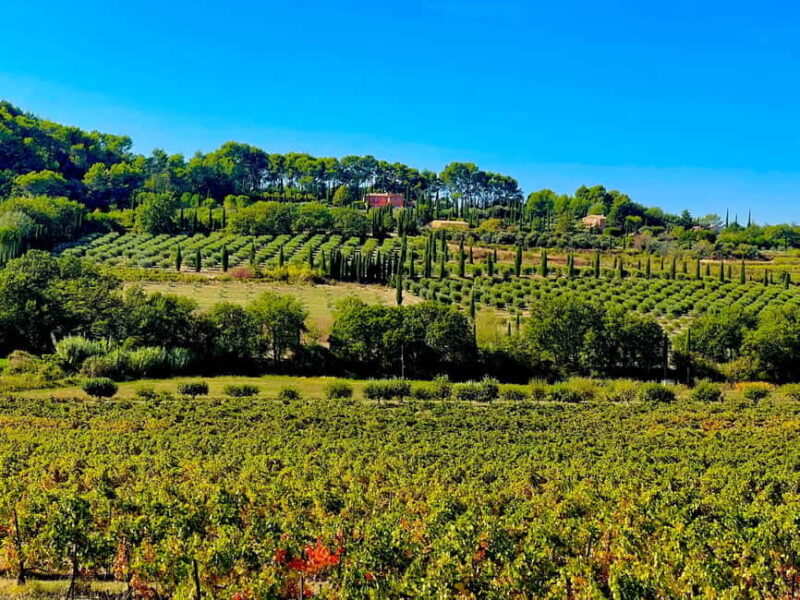 From Avignon: Provence Highlights Full-Day Tour - Practical Details: Logistics and Group Size