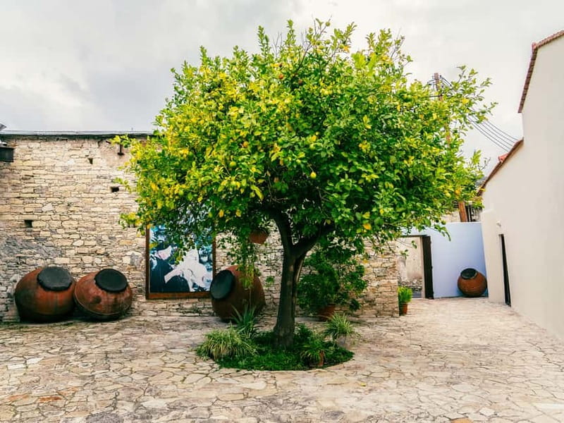 From Ayia Napa: Grand Tour Jeep Safari with Lunch - Extended Off-Road Drive Through Diverse Landscapes
