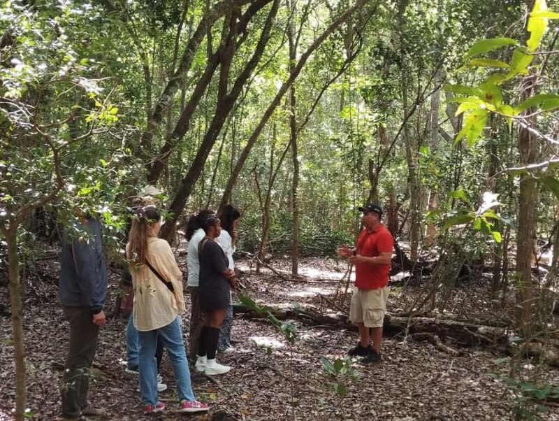 From Bacalar: Calakmul Ruins Expedition & Jungle Trek - Discovering Maya Astronomy and Culture