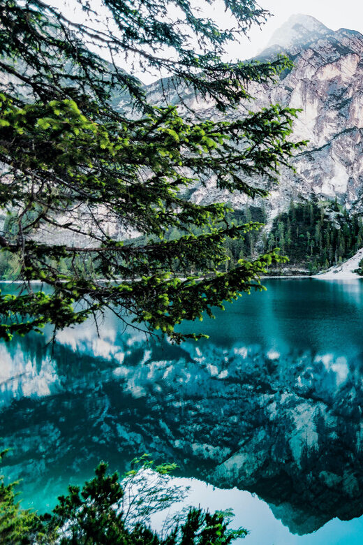 From Banff/Canmore: Moraine Lake, Lake Louise 1.5 hrs Each - Lake Louise’s Famous Chateau and Emerald Waters