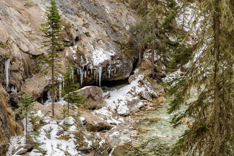 From Banff: Johnston Canyon Guided Icewalk - Experience the Magic of Johnston Canyon on a Guided Icewalk