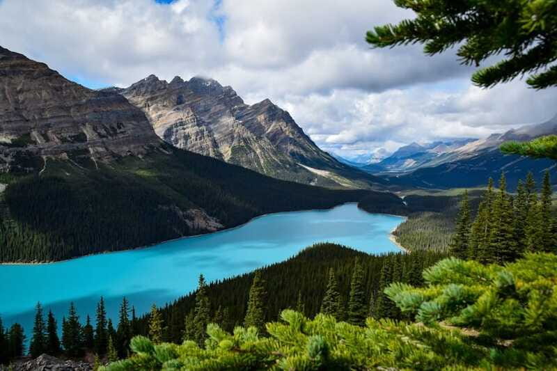 From Banff: Scenic Icefields Parkway Premium Guided Day Tour - Waterfowl Lakes Viewpoint and Wildlife Spotting Chances