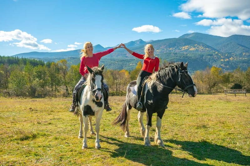 From Bansko: Horse Riding Experience - Discover the Horse Riding Experience Near Bansko in Dobrinishte