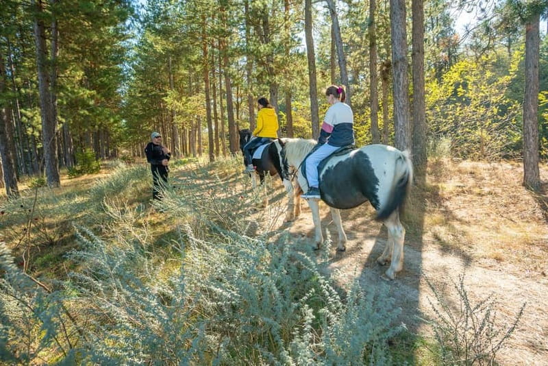 From Bansko: Horse Riding Experience - The Guides and Their Role