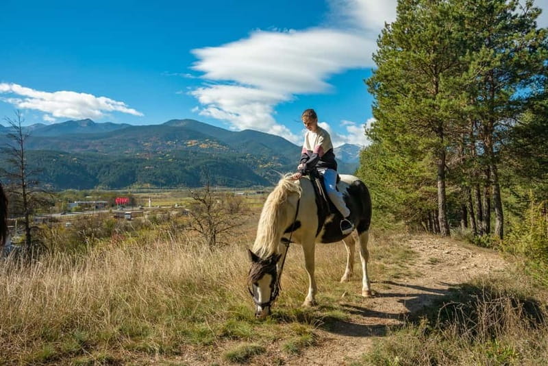 From Bansko: Horse Riding Experience - Additional Details and Practical Tips