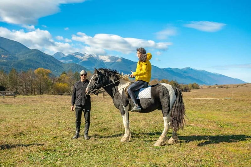 From Bansko: Horse Riding Experience - Review Summary and Overall Value