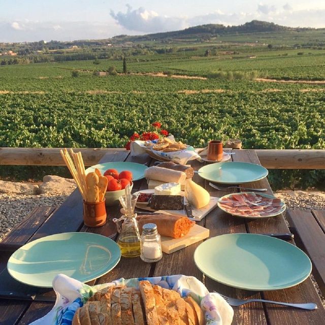 From Barcelona: 3 wineries with hotel pick-up and Lunch - Key Points
