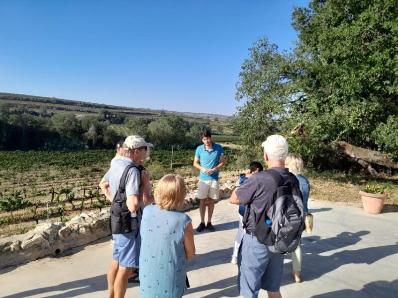 From Barcelona: 3 wineries with hotel pick-up and Lunch - Logistics: Easy, Convenient, and Comfortable