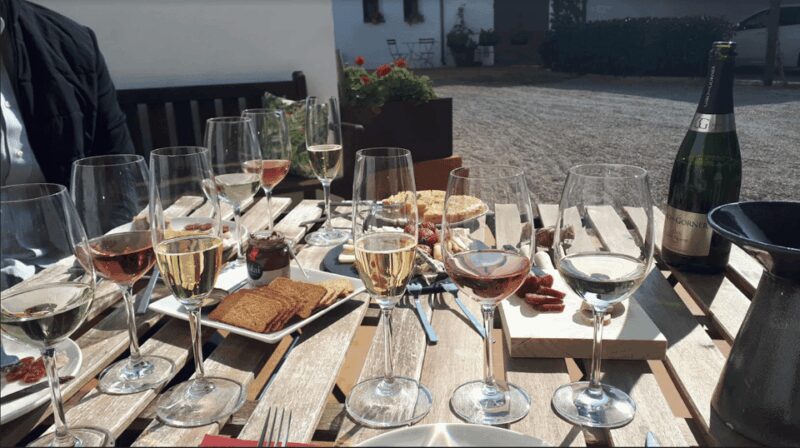 From Barcelona: 3 wineries with hotel pick-up and Lunch - Who Will Enjoy This Tour Most?