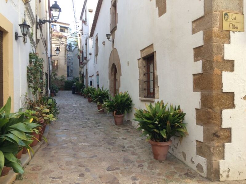 From Barcelona: Costa Brava Hike, Snorkel & Tossa de Mar - Swimming and Sunbathing in Crystal-Clear Coves