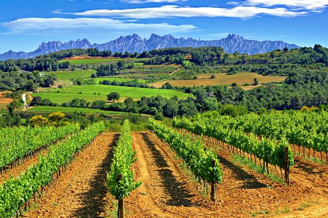 From Barcelona: El Penedès Hike & Wines - The Guided Hike: Discovering Vineyards and Farmhouses