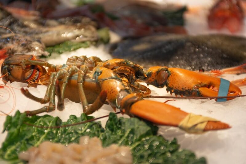 From Barcelona: Girona & Costa Brava Game of Thrones Tour - Return to Barcelona with a Comfortable Drive and Personalized Service