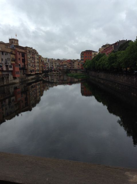 From Barcelona: Girona Guided Tour - Who Should Book This Girona Tour?