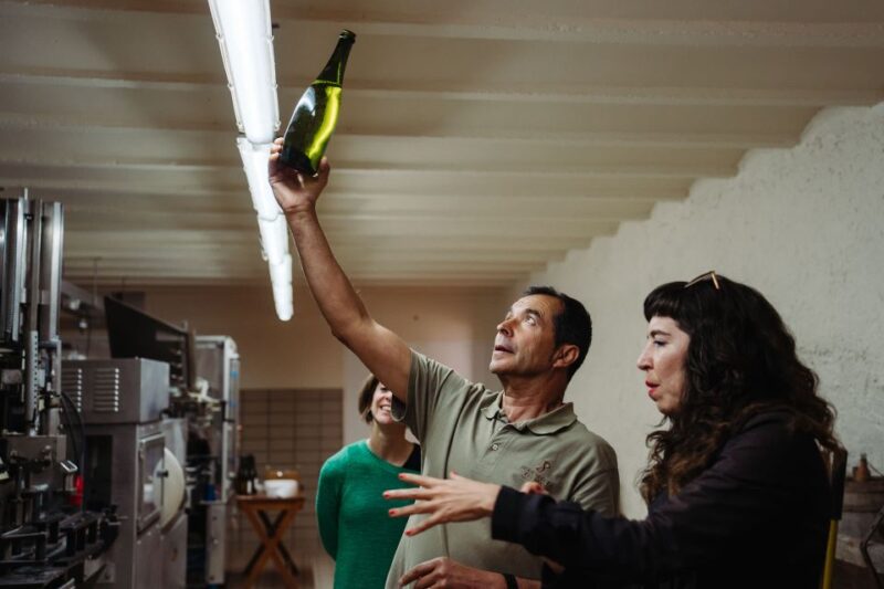 From Barcelona: Montserrat & Cava Winery Day Trip - Logistics and Practical Tips for the Tour Day