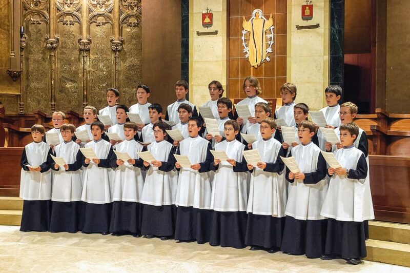 From Barcelona: Montserrat Day Trip with Optional Tickets - Considerations and Limitations