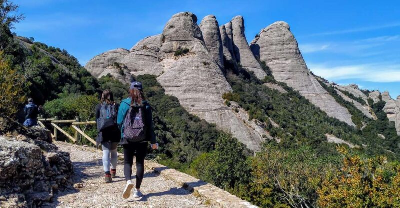 From Barcelona: Montserrat Mountain Hike and Monastery Tour - Descending through Forests and Needle Formations