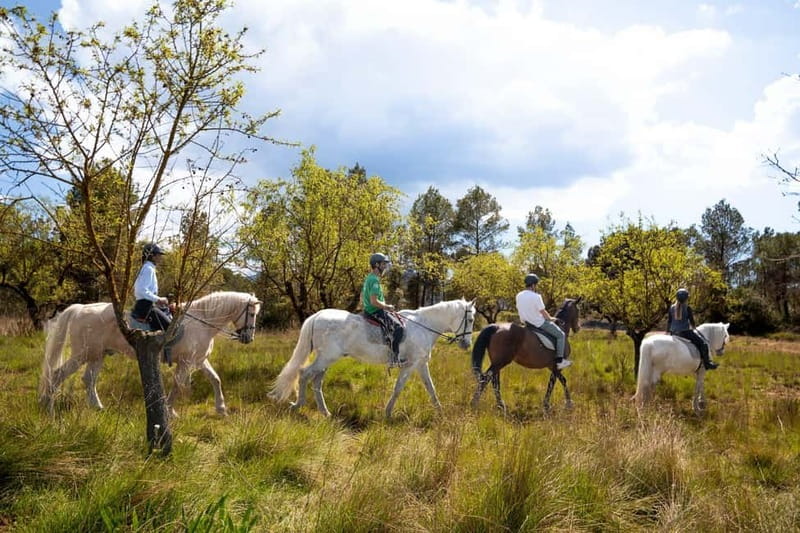 From Barcelona: Montserrat Walking and Horseback Riding Tour - Key Points